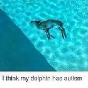 Meet your Posher, House